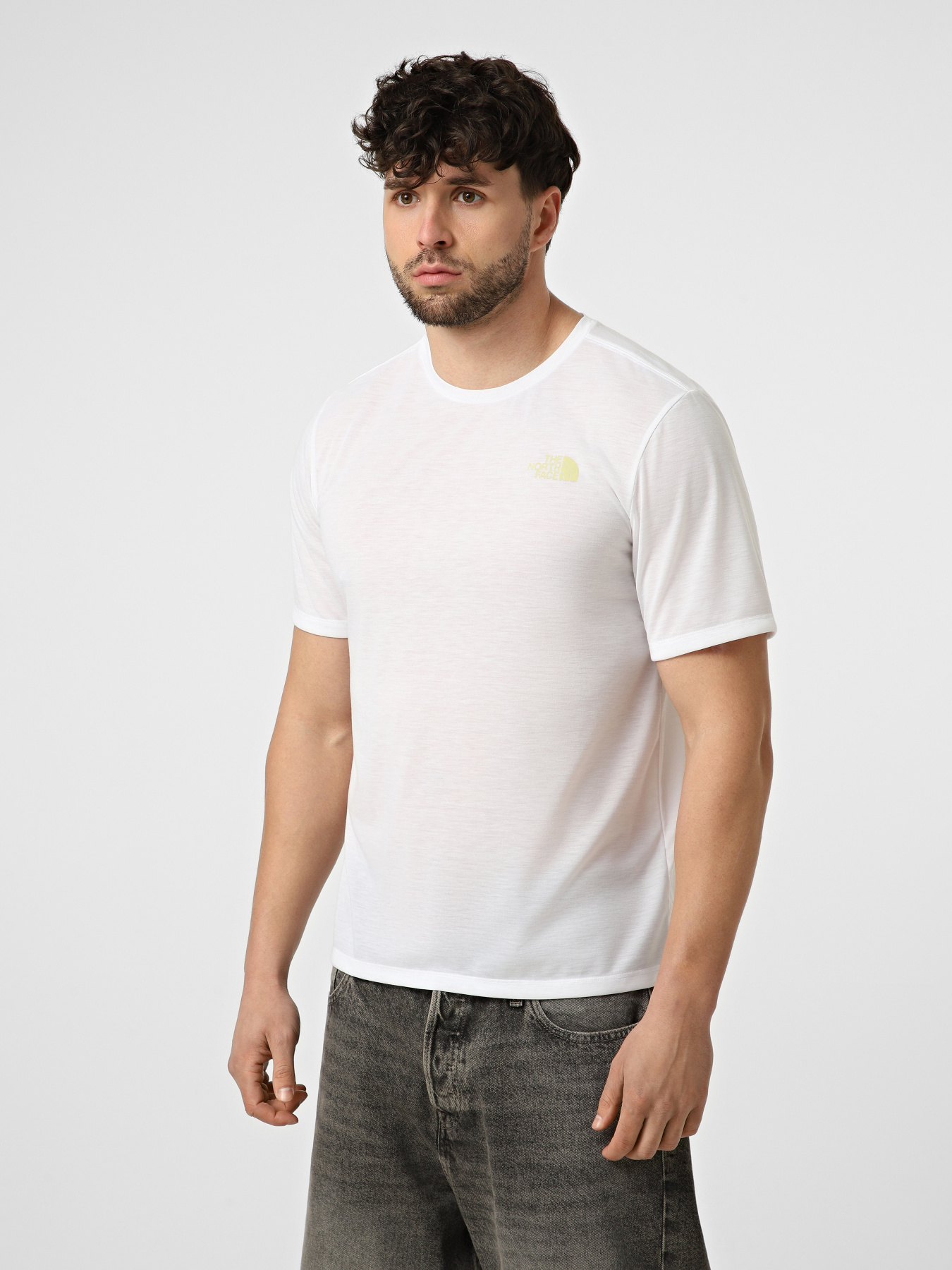 Футболки и поло The North Face M FOUNDATION MOUNT SS TEE модель NF0A8HEYFN41 Футболки и поло The North Face M FOUNDATION MOUNT SS TEE модель NF0A8HEYFN41 Фото