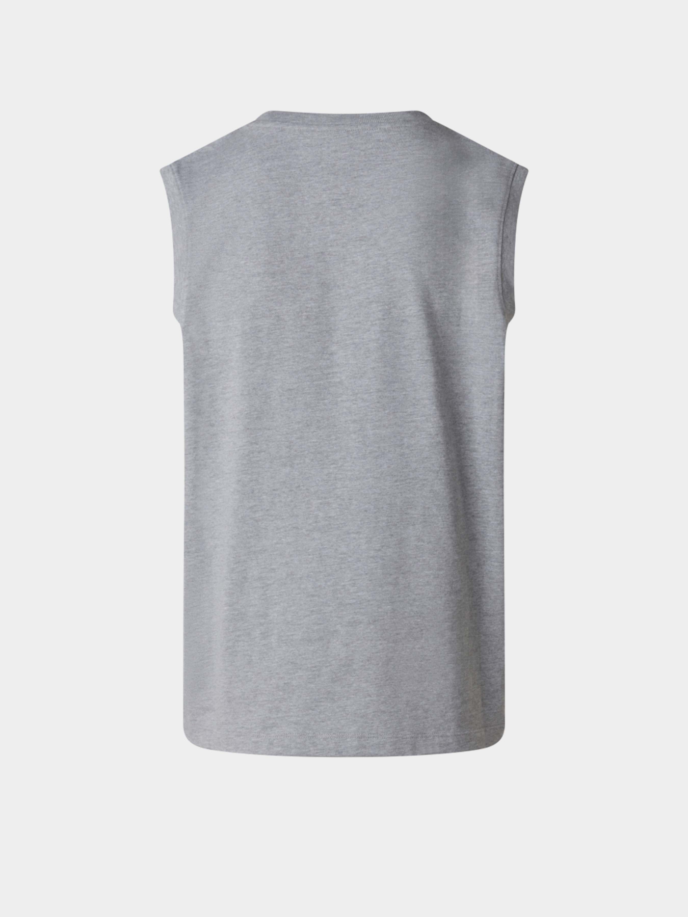 Футболки і поло The North Face M EVOLUTION SIMPLE DOME TANK модель NF0A8FD4CQO1 Фото