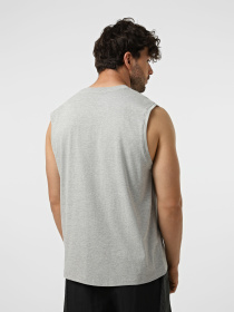 Футболки і поло The North Face M EVOLUTION SIMPLE DOME TANK модель NF0A8FD4CQO1 Фото