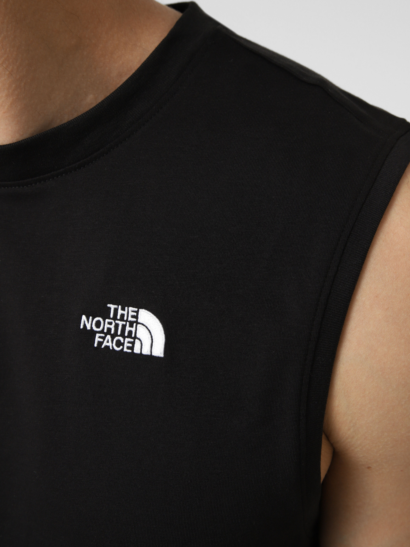 Футболки і поло The North Face M EVOLUTION SIMPLE DOME TANK модель NF0A8FD4JK31 Фото