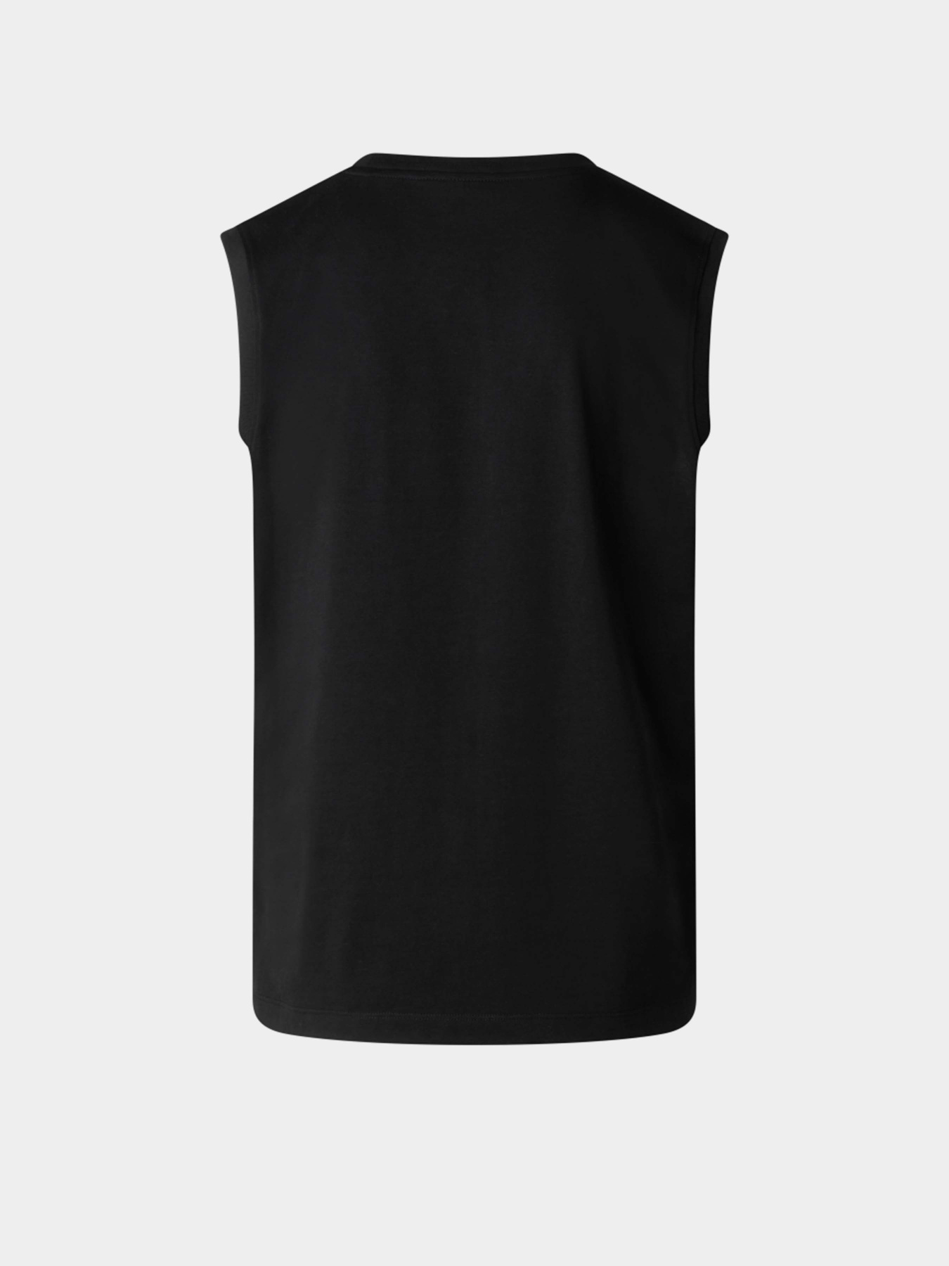 Футболки і поло The North Face M EVOLUTION SIMPLE DOME TANK модель NF0A8FD4JK31 Фото