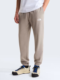 Штани The North Face M SIMPLE DOME LIGHT REGULAR TA модель NF0A8C412MB1 Фото