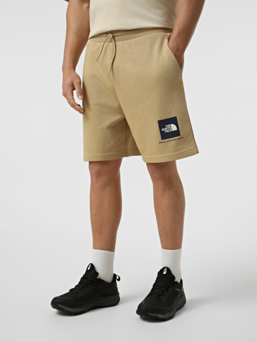 Шорты The North Face M BOX NSE LIGHT REGULAR SHORTS модель NF0A8GQ8LK51 Фото