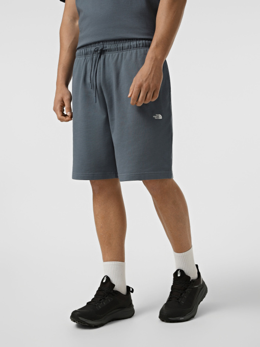 Шорты The North Face M ESSENTIAL LIGHT RELAXED SHOR модель NF0A8GQ90U31 Фото
