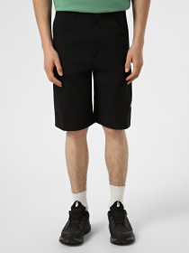 Шорти The North Face M EXPLORATION CARGO SHORTS модель NF0A8EC7JK31 Фото