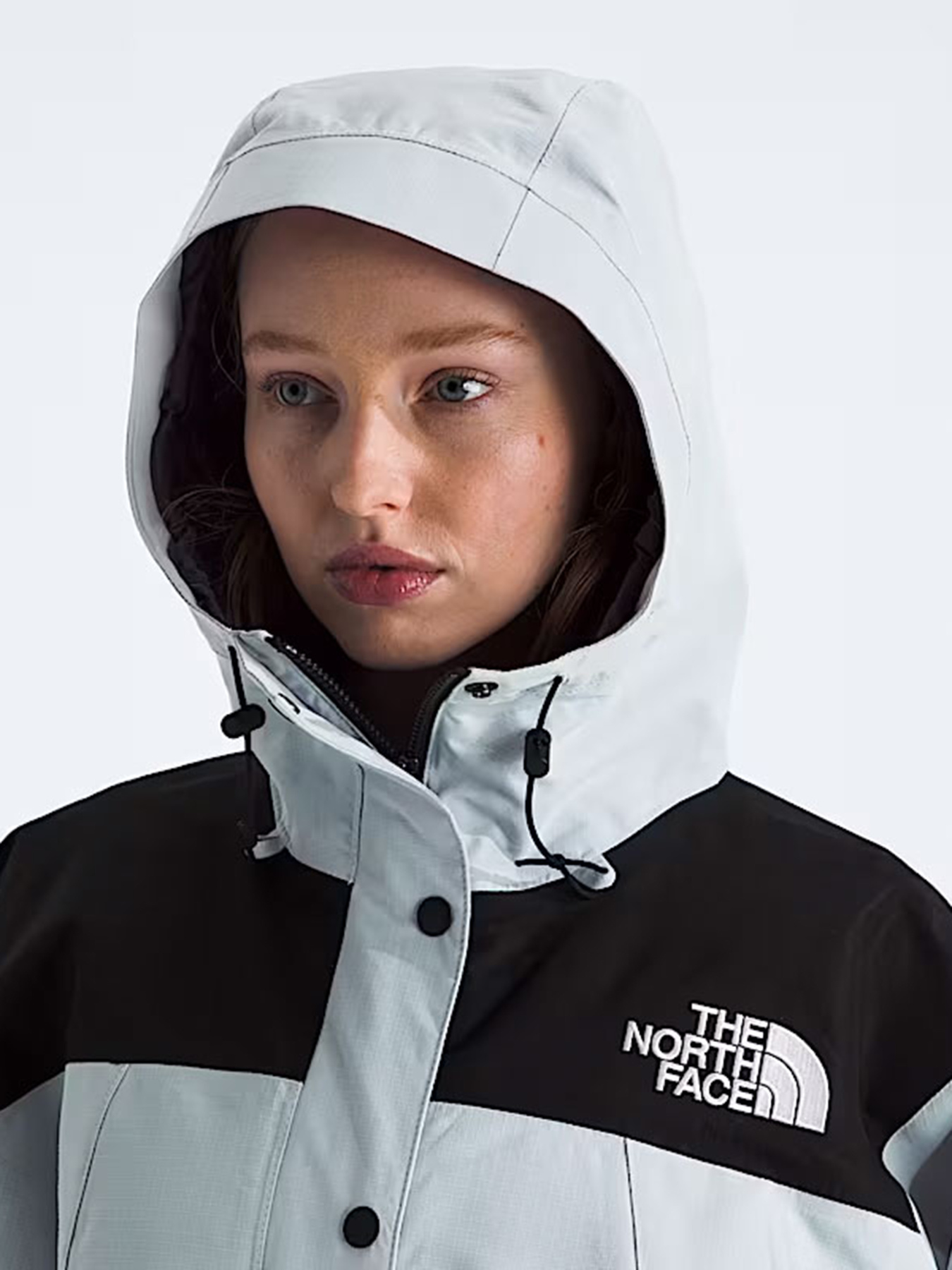 Куртки та дублянки The North Face W DRYVENT MONO MOUNTAIN JACKET модель NF0A88YXGG91 Фото