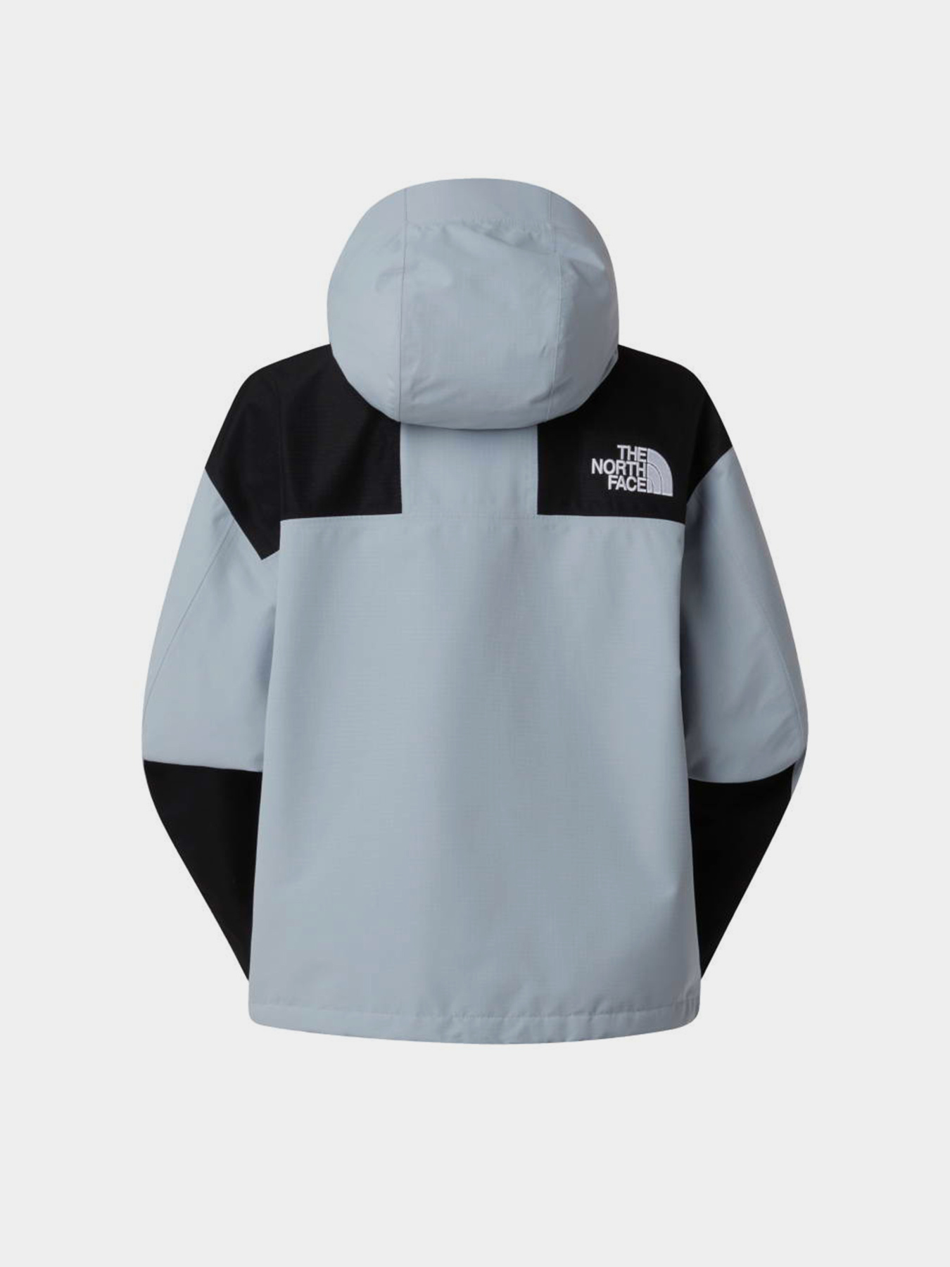 Куртки та дублянки The North Face W DRYVENT MONO MOUNTAIN JACKET модель NF0A88YXGG91 Фото