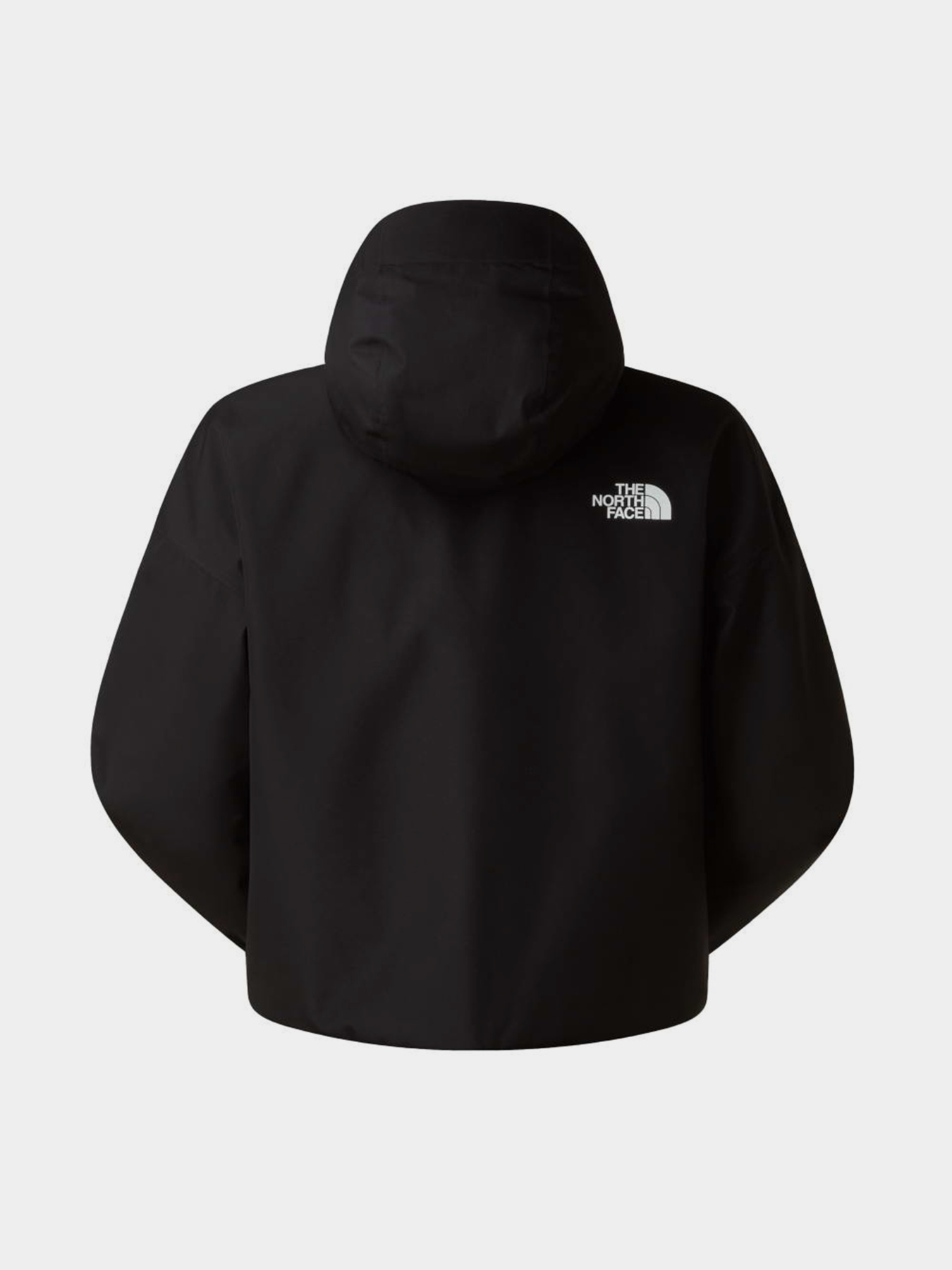Куртки и дубленки The North Face W QUEST MONO CROPPED  JACKET модель NF0A8G13JK31 Фото
