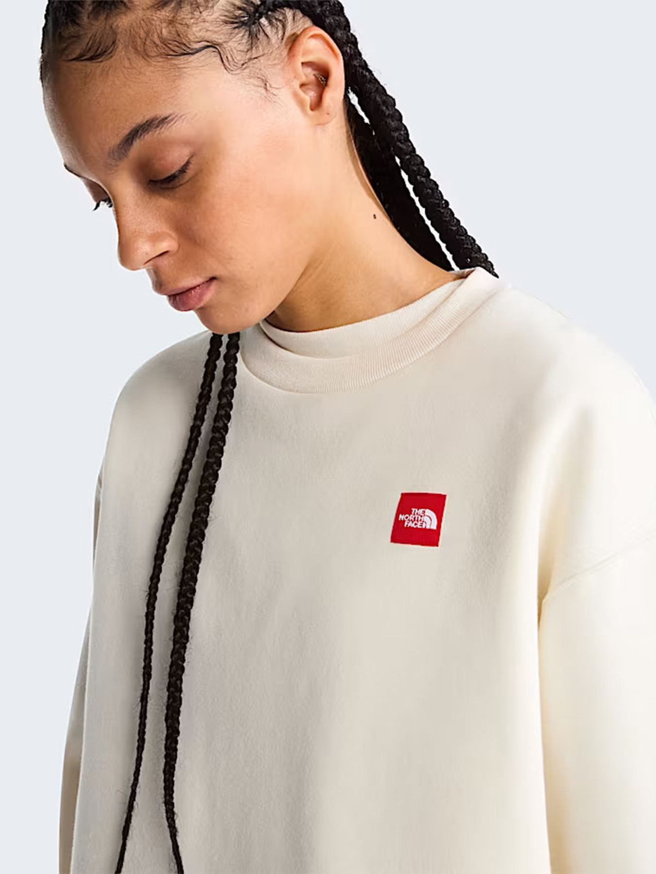 Худі та світшоти The North Face W TNF RED BOX CREW модель NF0A8EFYQLI1 Фото