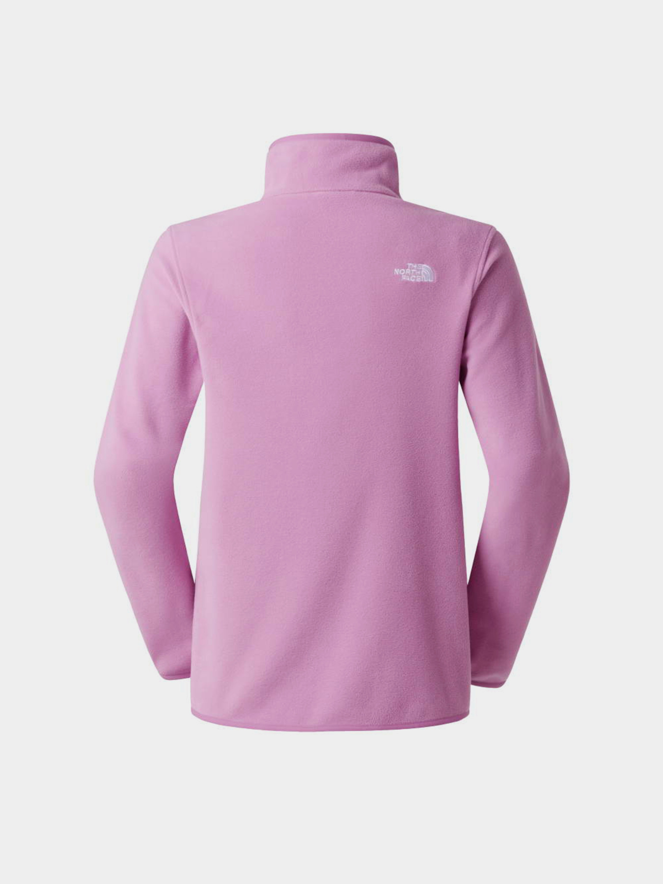Худі та світшоти The North Face W GLACIER FLEECE 1/4 ZIP JACKE модель NF0A8D2JG6E1 Худі та світшоти The North Face W GLACIER FLEECE 1/4 ZIP JACKE модель NF0A8D2JG6E1 Фото