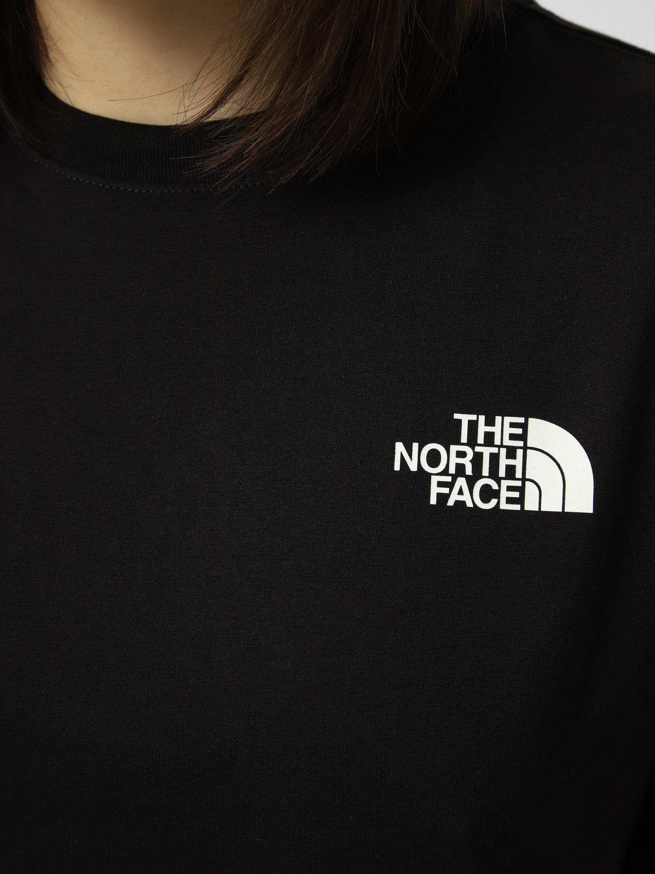 Футболки і поло The North Face W EVOLUTION BOX NSE RELAXED SH модель NF0A8B6WKY41 Футболки і поло The North Face W EVOLUTION BOX NSE RELAXED SH модель NF0A8B6WKY41 Фото