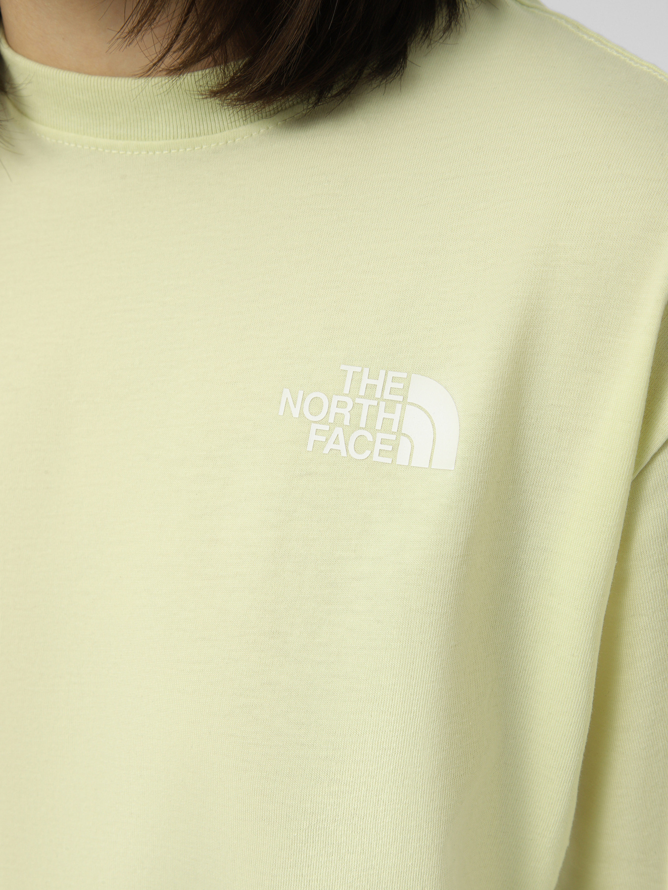 Футболки і поло The North Face W EVOLUTION BOX NSE RELAXED SH модель NF0A8B6WG6O1 Фото