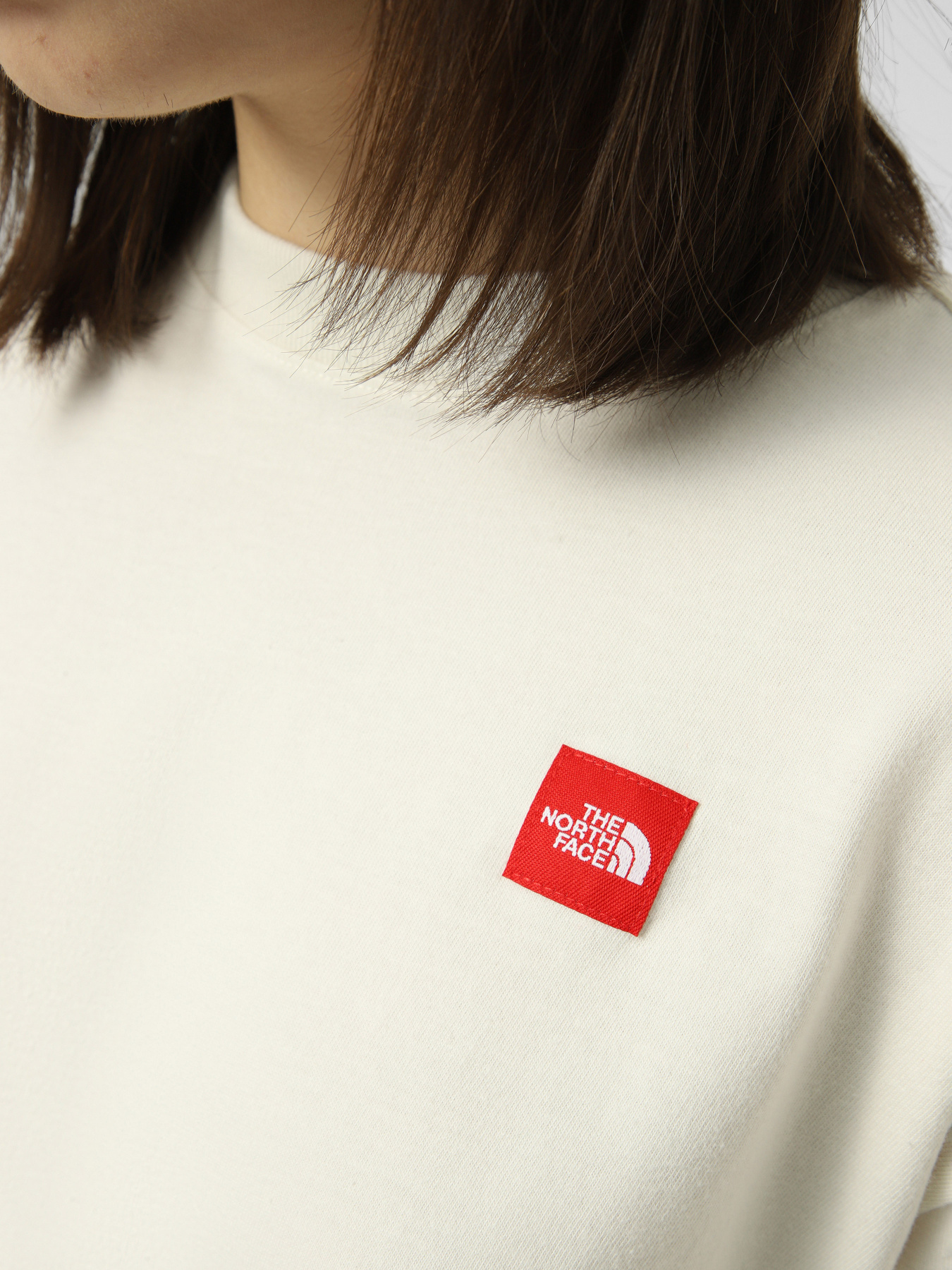 Футболки і поло The North Face W TNF RED BOX S/S BOXY TEE модель NF0A8EG6QLI1 Футболки і поло The North Face W TNF RED BOX S/S BOXY TEE модель NF0A8EG6QLI1 Фото