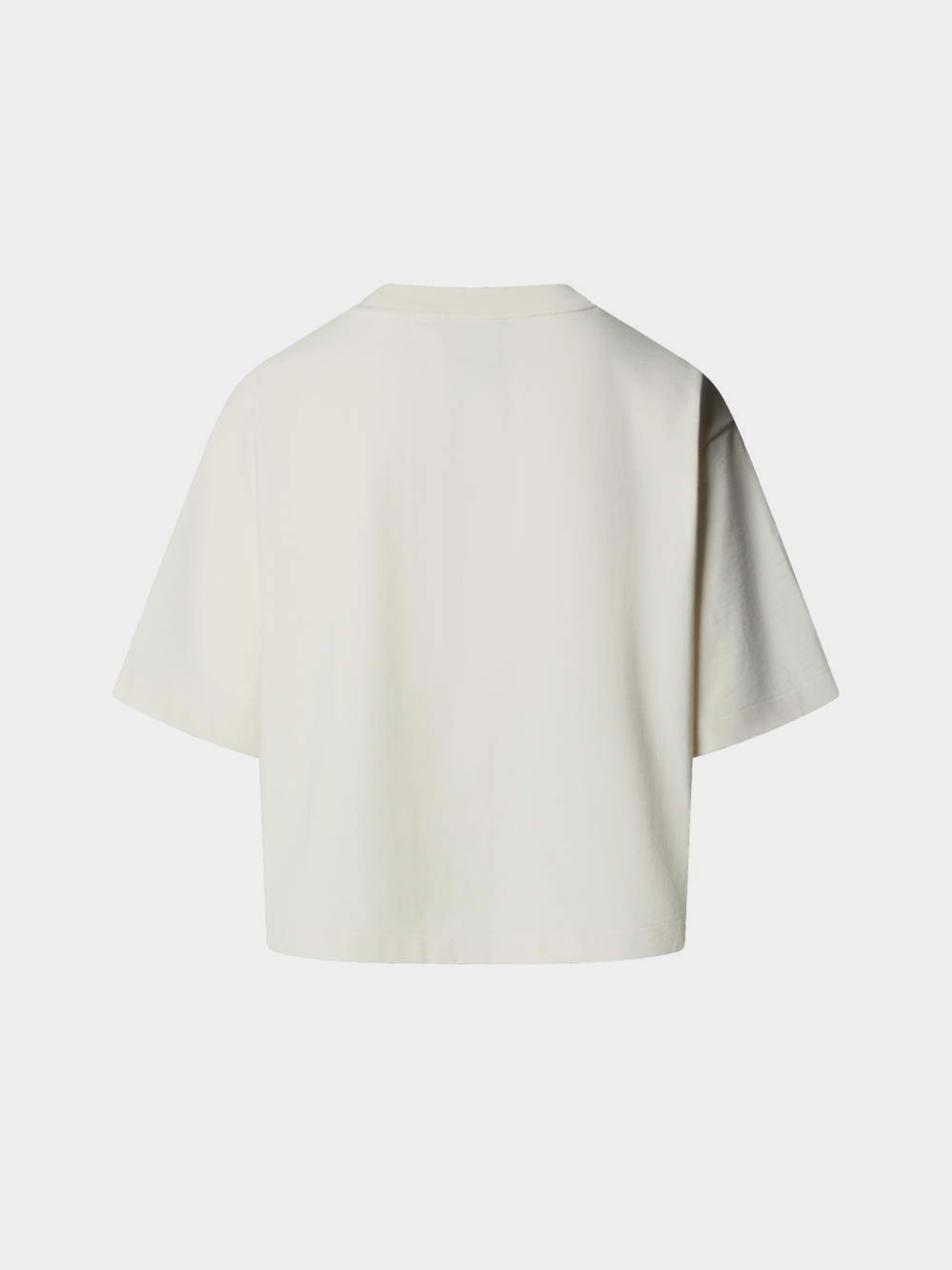 Футболки і поло The North Face W TNF RED BOX S/S BOXY TEE модель NF0A8EG6QLI1 Футболки і поло The North Face W TNF RED BOX S/S BOXY TEE модель NF0A8EG6QLI1 Фото