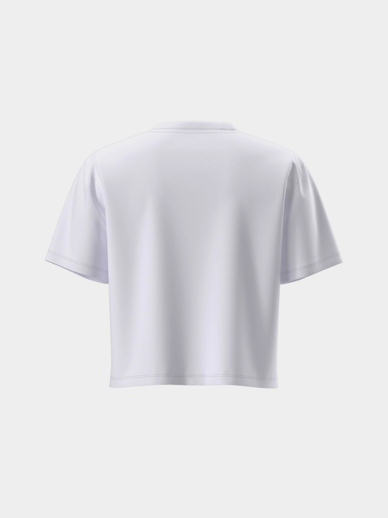Футболки і поло The North Face W EVOLUTION SIMPLE DOME CROP R модель NF0A8FDHFN41 Футболки і поло The North Face W EVOLUTION SIMPLE DOME CROP R модель NF0A8FDHFN41 Фото