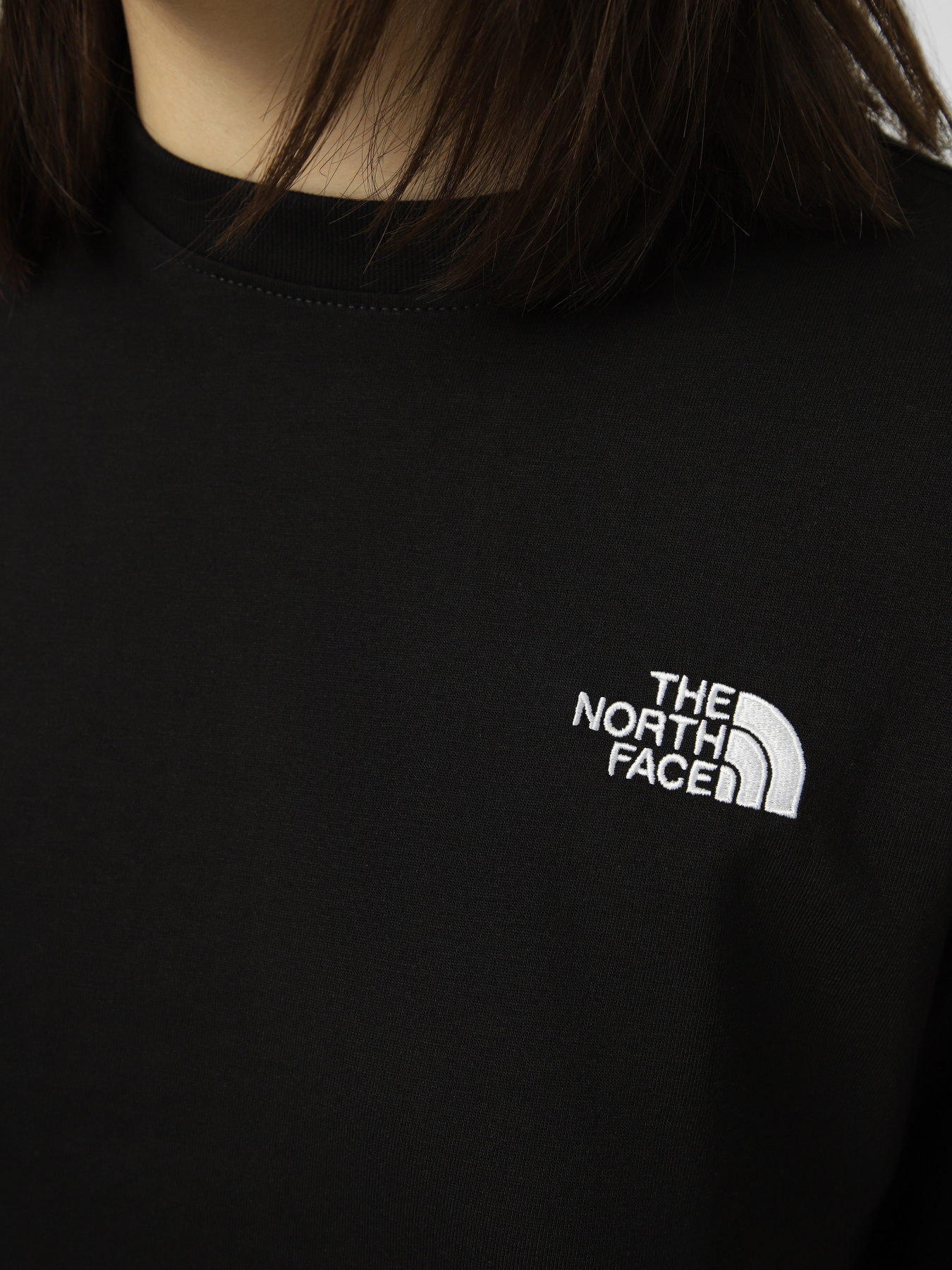 Футболки и поло The North Face W EVOLUTION SIMPLE DOME CROP R модель NF0A8FDHJK31 Фото