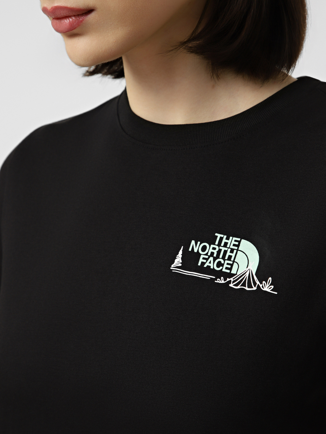 Футболки и поло The North Face W MONTE REGULAR SHORT SLEEVE T модель NF0A8GA9JK31 Фото