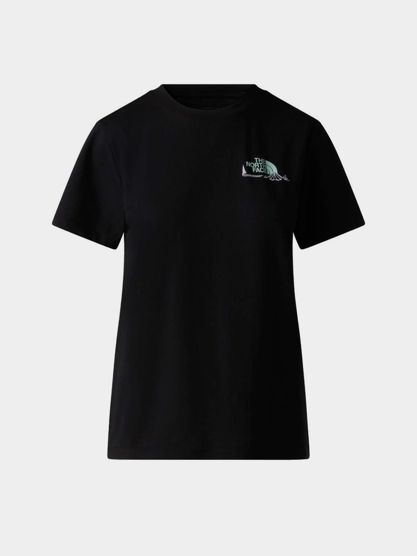 Футболки и поло The North Face W MONTE REGULAR SHORT SLEEVE T модель NF0A8GA9JK31 Фото