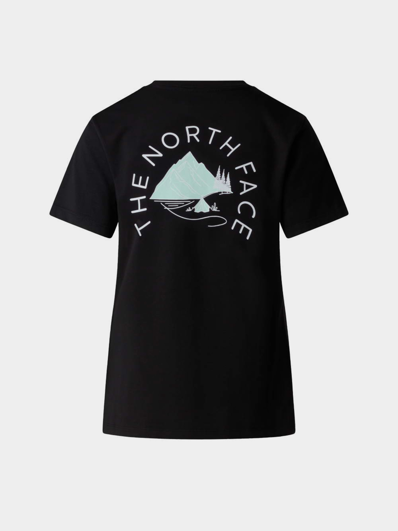 Футболки и поло The North Face W MONTE REGULAR SHORT SLEEVE T модель NF0A8GA9JK31 Фото