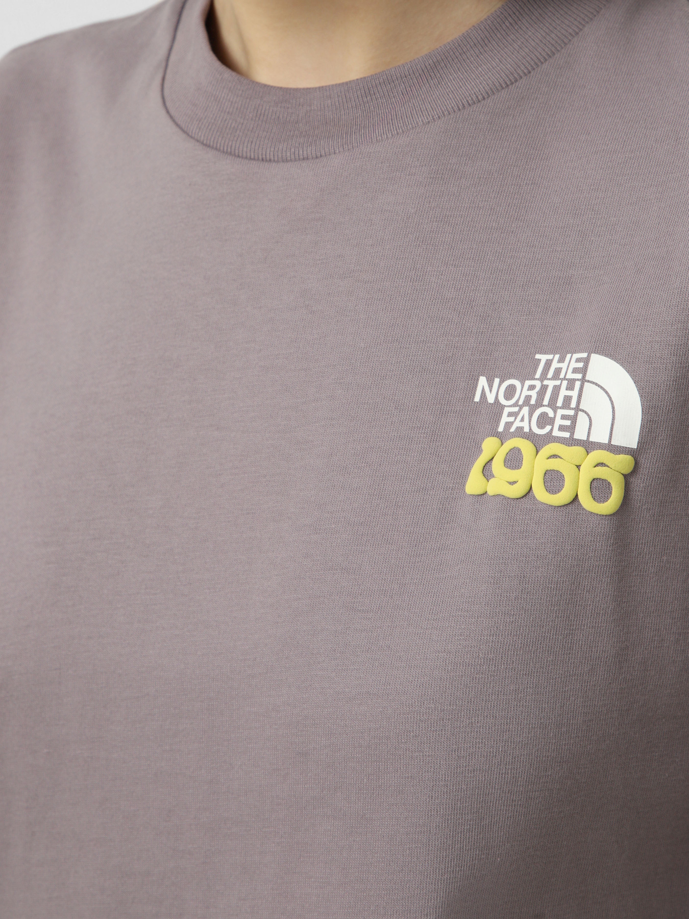 Футболки і поло The North Face M 1966 MOTION RELAXED SHORT SL модель NF0A8GAHG7O1 Футболки і поло The North Face M 1966 MOTION RELAXED SHORT SL модель NF0A8GAHG7O1 Фото
