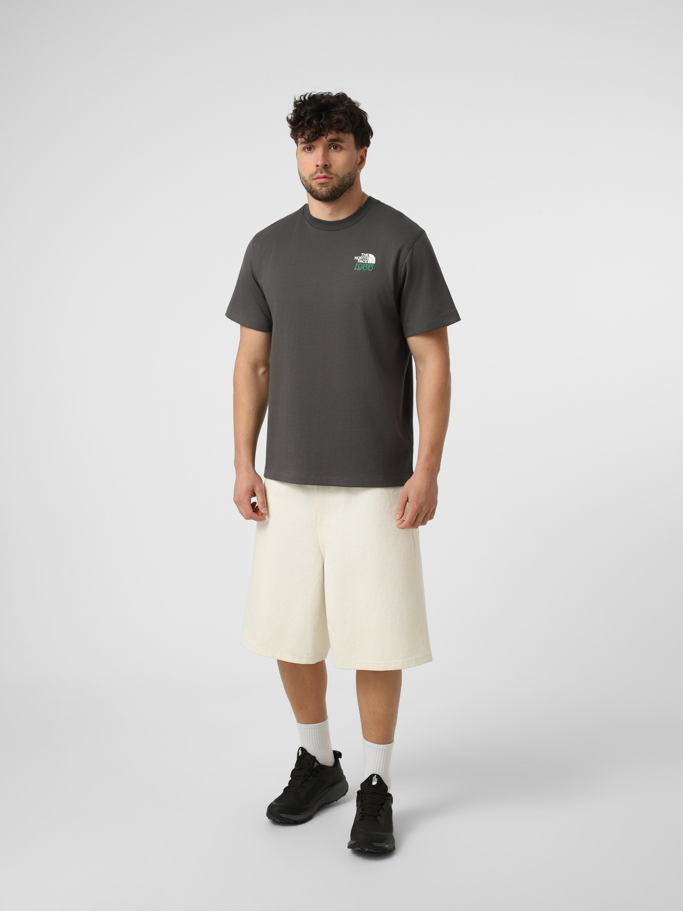 Футболки і поло The North Face M 1966 MOTION RELAXED SHORT SL модель NF0A8GAHRHI1 Футболки і поло The North Face M 1966 MOTION RELAXED SHORT SL модель NF0A8GAHRHI1 Фото