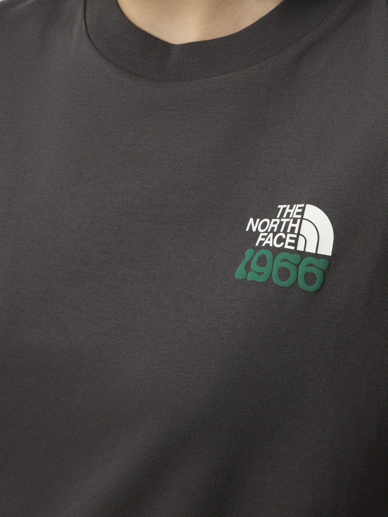 Футболки і поло The North Face M 1966 MOTION RELAXED SHORT SL модель NF0A8GAHRHI1 Футболки і поло The North Face M 1966 MOTION RELAXED SHORT SL модель NF0A8GAHRHI1 Фото