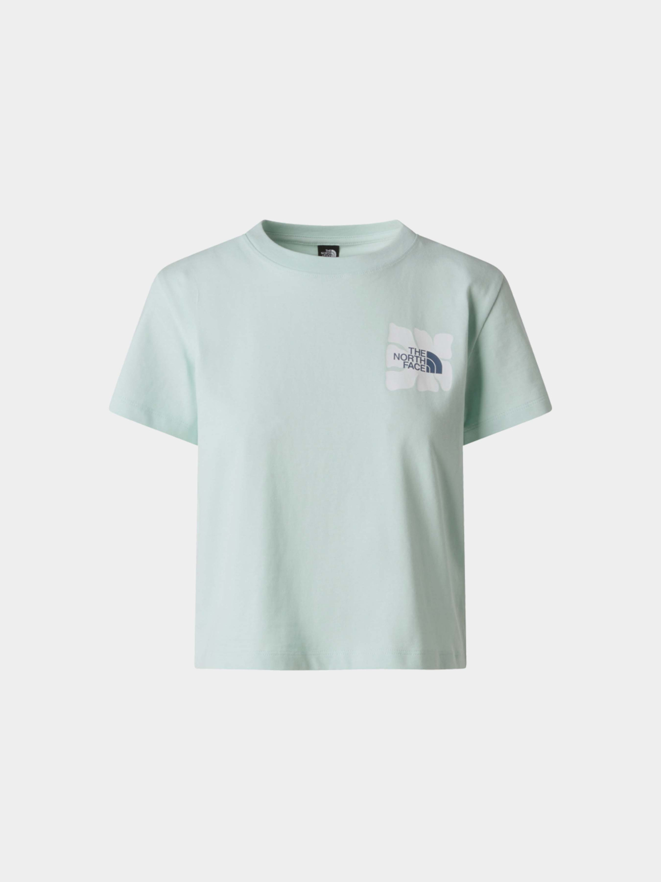 Футболки и поло The North Face W SUN REGULAR SHORT SLEEVE CUT модель NF0A8GQSG701 Футболки и поло The North Face W SUN REGULAR SHORT SLEEVE CUT модель NF0A8GQSG701 Фото