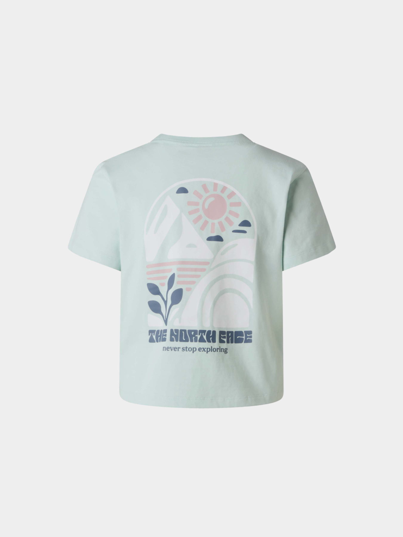 Футболки и поло The North Face W SUN REGULAR SHORT SLEEVE CUT модель NF0A8GQSG701 Футболки и поло The North Face W SUN REGULAR SHORT SLEEVE CUT модель NF0A8GQSG701 Фото