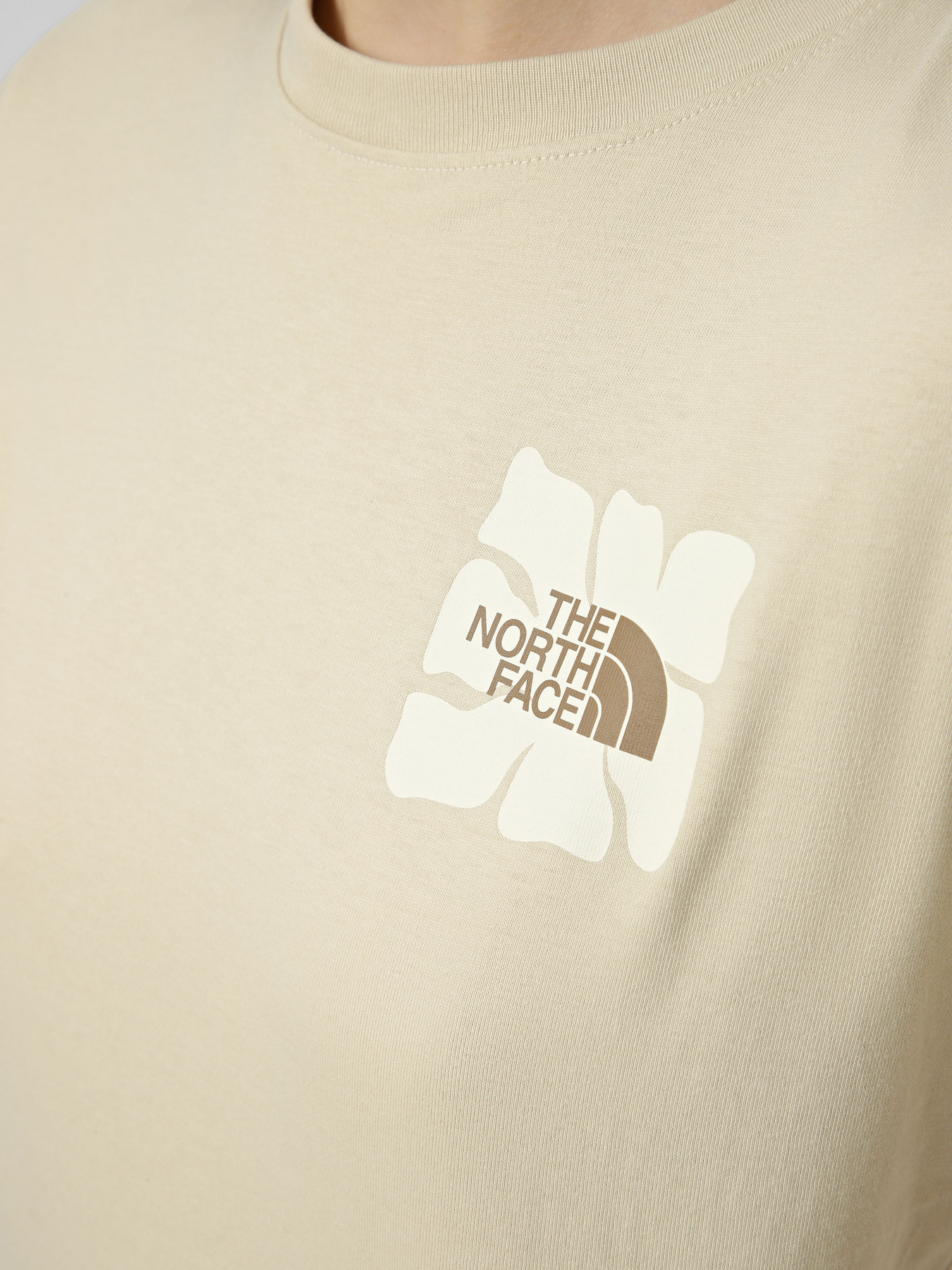 Футболки і поло The North Face W SUN REGULAR SHORT SLEEVE CUT модель NF0A8GQSDOM1 Футболки і поло The North Face W SUN REGULAR SHORT SLEEVE CUT модель NF0A8GQSDOM1 Фото
