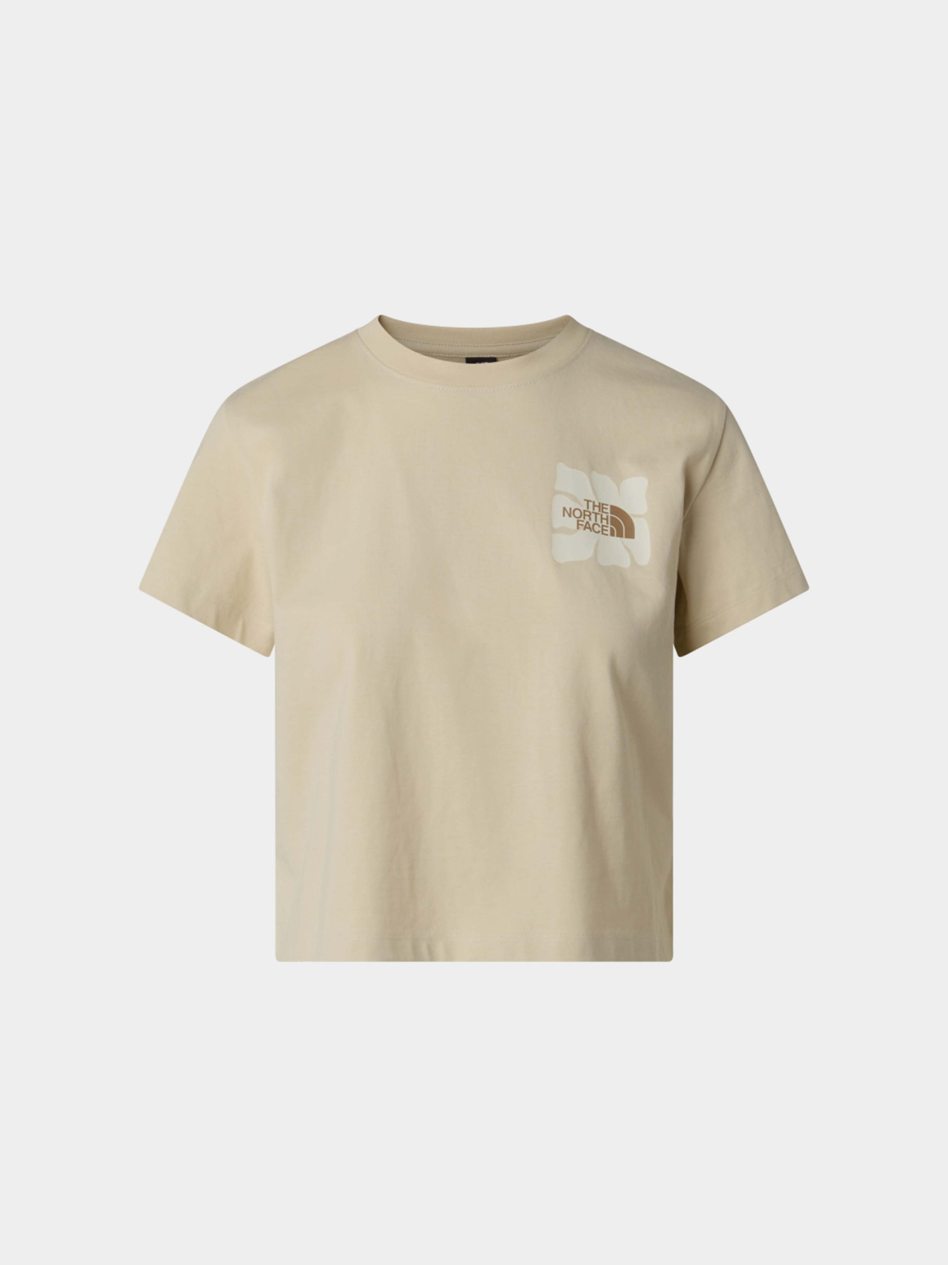 Футболки і поло The North Face W SUN REGULAR SHORT SLEEVE CUT модель NF0A8GQSDOM1 Футболки і поло The North Face W SUN REGULAR SHORT SLEEVE CUT модель NF0A8GQSDOM1 Фото