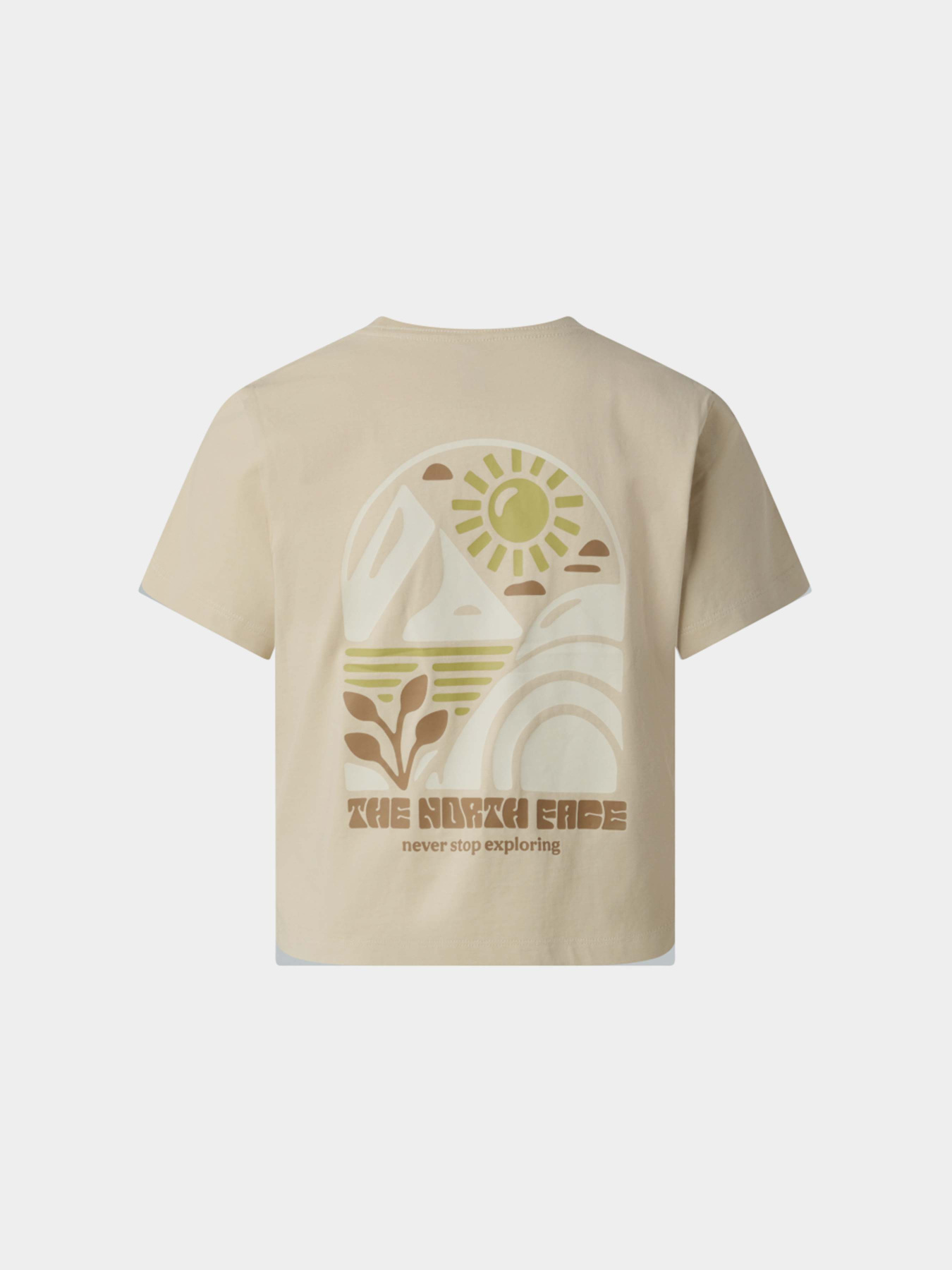 Футболки і поло The North Face W SUN REGULAR SHORT SLEEVE CUT модель NF0A8GQSDOM1 Футболки і поло The North Face W SUN REGULAR SHORT SLEEVE CUT модель NF0A8GQSDOM1 Фото