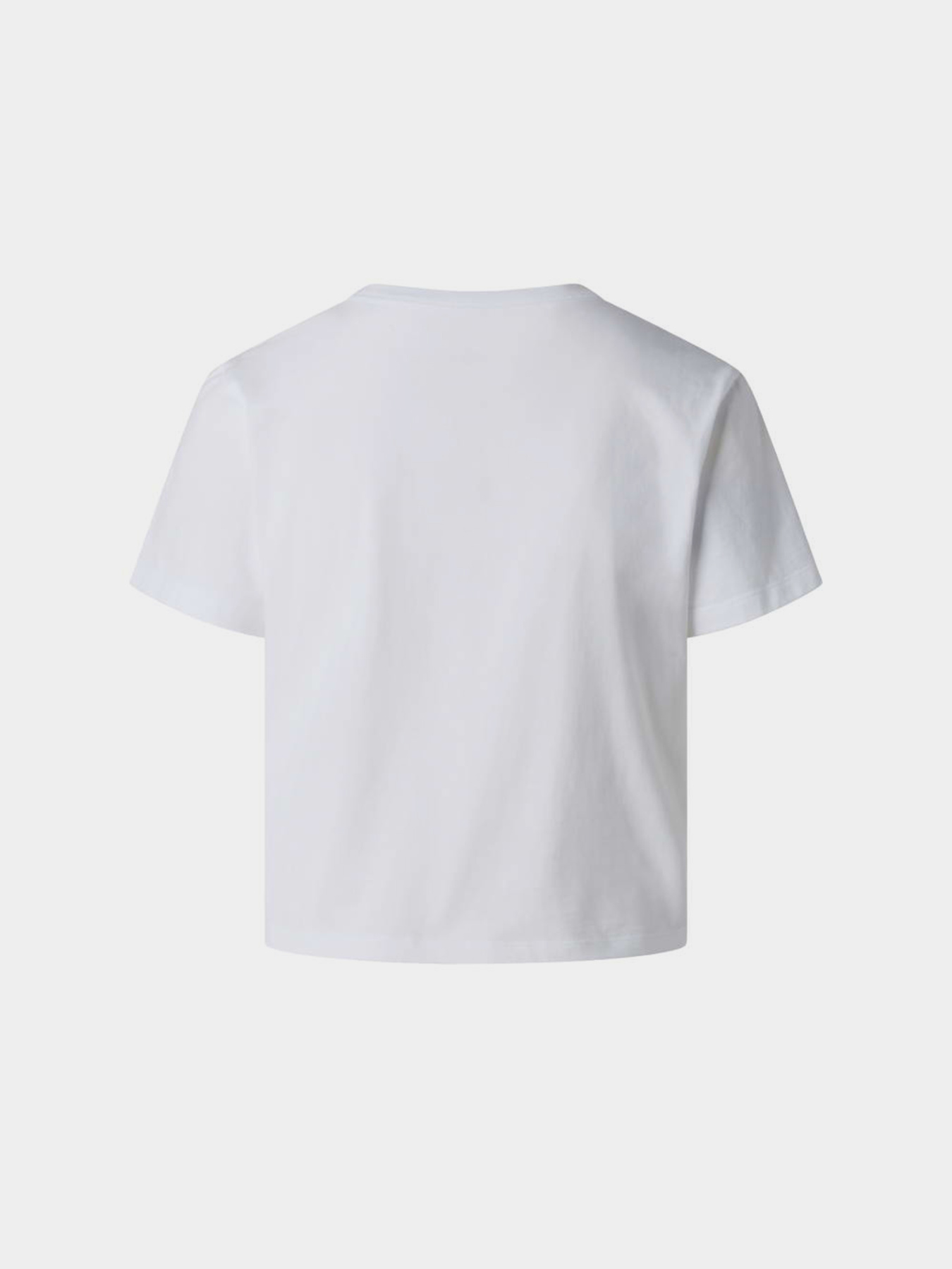 Футболки і поло The North Face W ESSENTIAL REGULAR SHORT SLEE модель NF0A8GR1FN41 Футболки і поло The North Face W ESSENTIAL REGULAR SHORT SLEE модель NF0A8GR1FN41 Фото