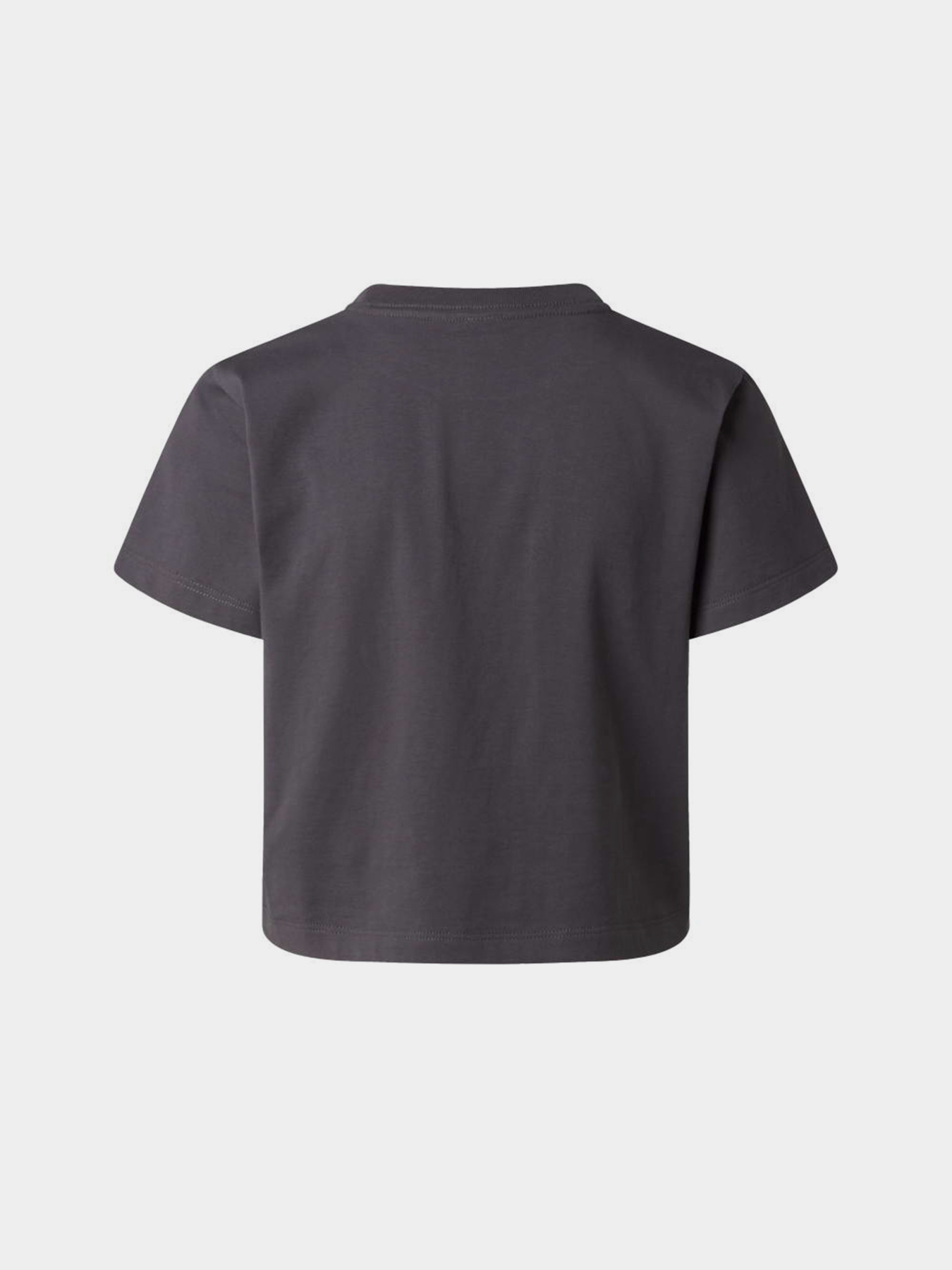 Футболки і поло The North Face W ESSENTIAL REGULAR SHORT SLEE модель NF0A8GR1RHI1 Футболки і поло The North Face W ESSENTIAL REGULAR SHORT SLEE модель NF0A8GR1RHI1 Фото