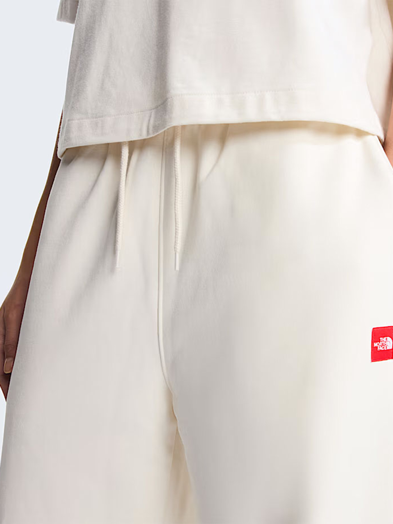 Штани The North Face W TNF RED BOX SWEATPANTS модель NF0A8EG2QLI1 Фото