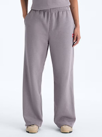 Штани The North Face W TNF RED BOX SWEATPANTS модель NF0A8EG2G7O1 Фото