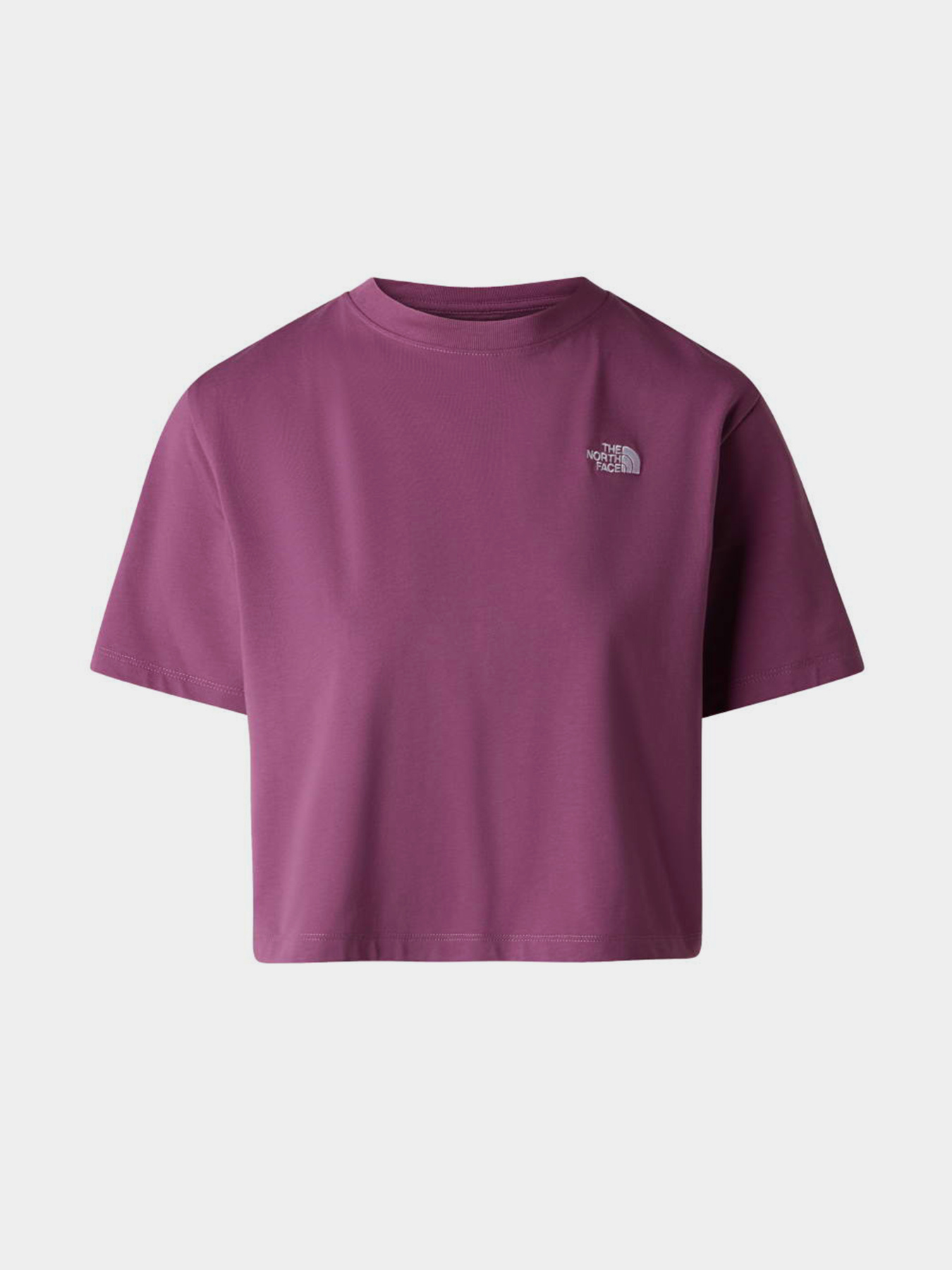 Футболки і поло The North Face W EVOLUTION SIMPLE DOME CROP R модель NF0A8FDHG4Y1 Футболки і поло The North Face W EVOLUTION SIMPLE DOME CROP R модель NF0A8FDHG4Y1 Фото