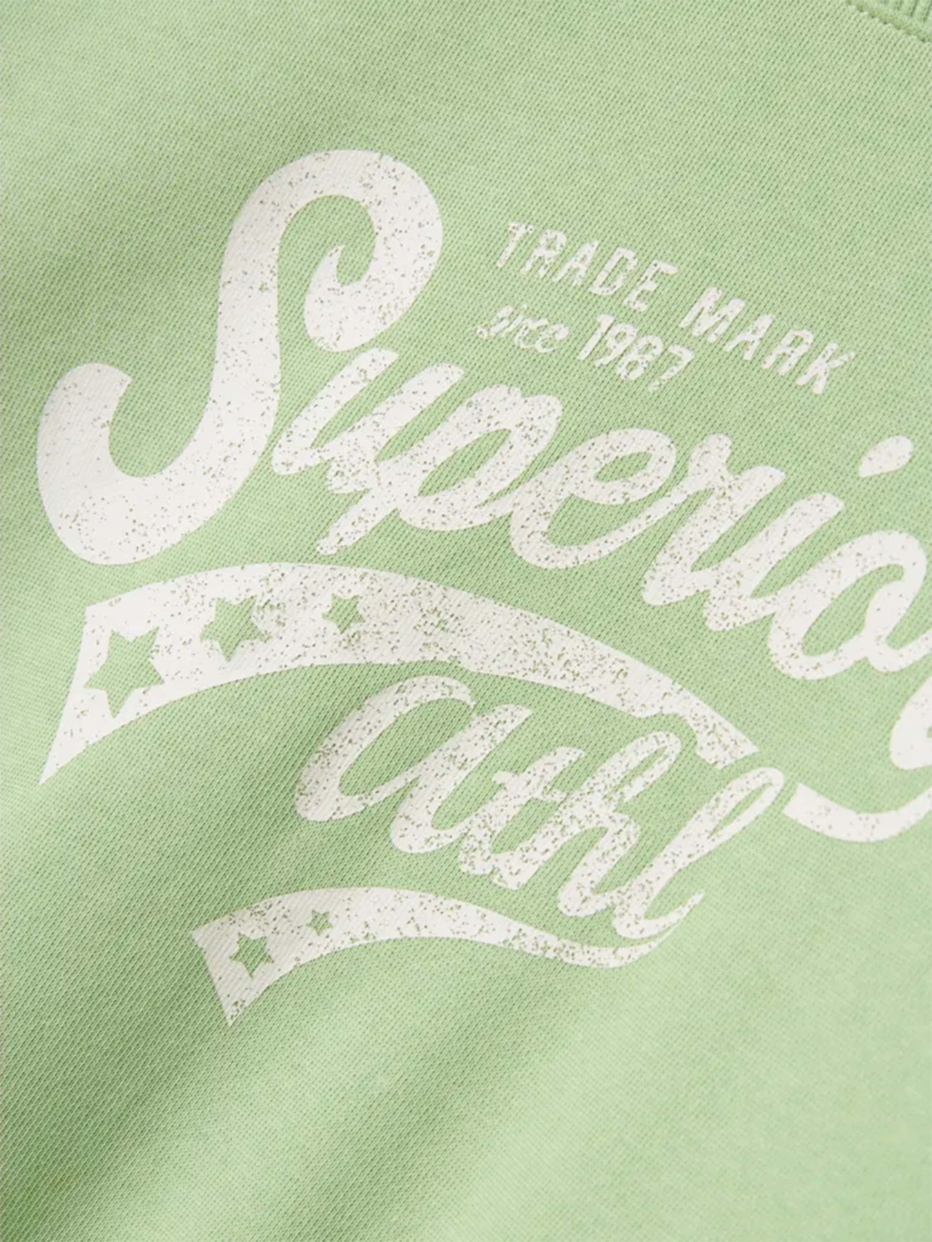 Худі та світшоти Name it модель 13240571_Arcadian Green Superior Фото