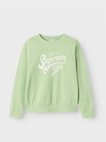 Худи и свитшоты Name it модель 13240571_Arcadian Green Superior Фото