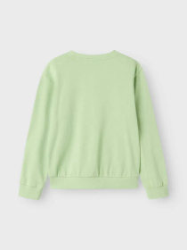 Худі та світшоти Name it модель 13240571_Arcadian Green Superior Фото