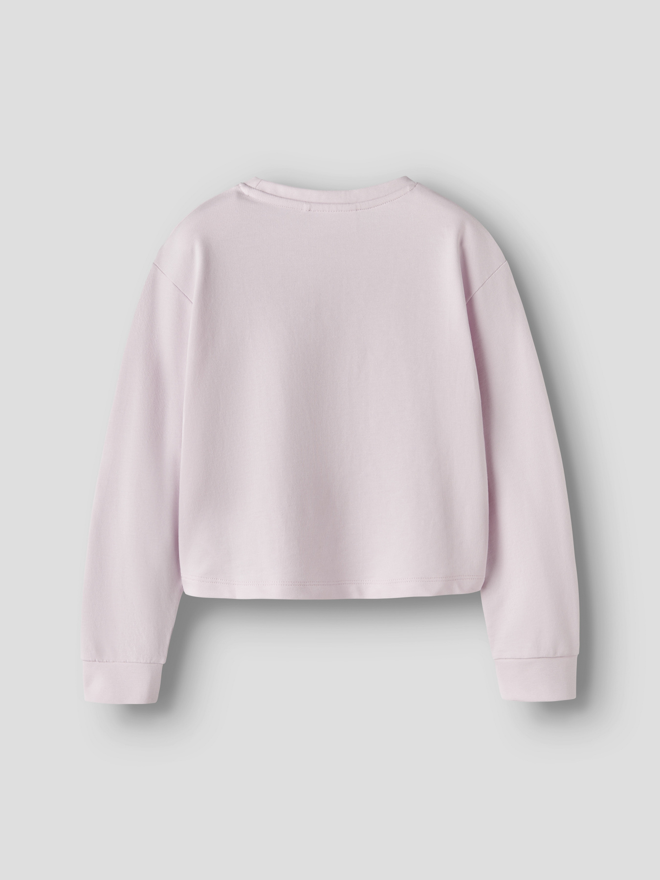 Худи и свитшоты Name it VANITA SHORT RLX SWEAT модель 13238413_Pirouette La Teddy Худи и свитшоты Name it VANITA SHORT RLX SWEAT модель 13238413_Pirouette La Teddy Фото