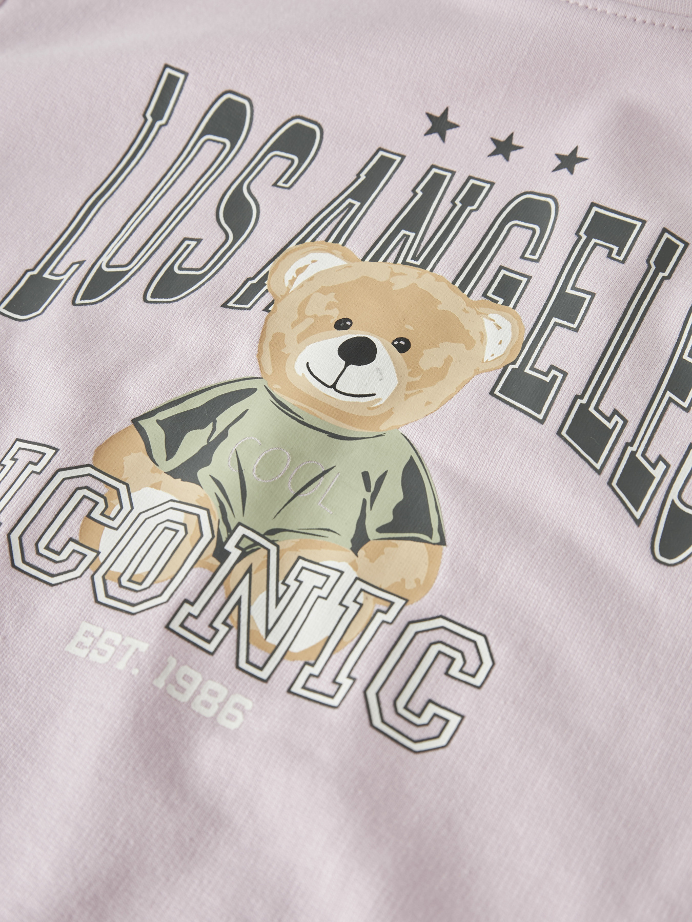 Худи и свитшоты Name it VANITA SHORT RLX SWEAT модель 13238413_Pirouette La Teddy Худи и свитшоты Name it VANITA SHORT RLX SWEAT модель 13238413_Pirouette La Teddy Фото