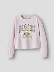 Худи и свитшоты Name it VANITA SHORT RLX SWEAT модель 13238413_Pirouette La Teddy Фото