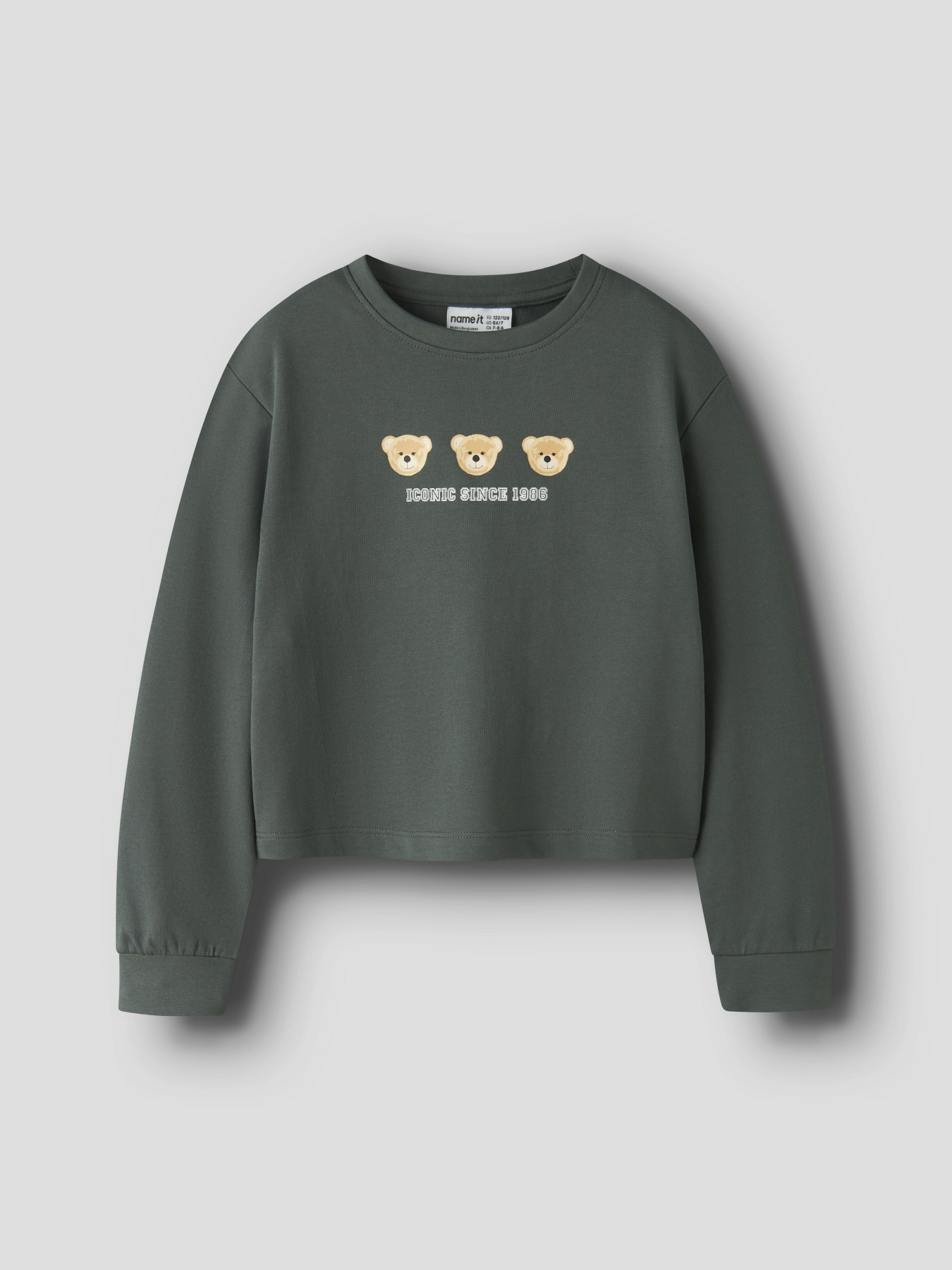 Худі та світшоти Name it VANITA SHORT RLX SWEAT модель 13238413_Urban Chic Iconic Teddy Худі та світшоти Name it VANITA SHORT RLX SWEAT модель 13238413_Urban Chic Iconic Teddy Фото