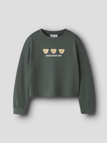 Худи и свитшоты Name it VANITA SHORT RLX SWEAT модель 13238413_Urban Chic Iconic Teddy Фото