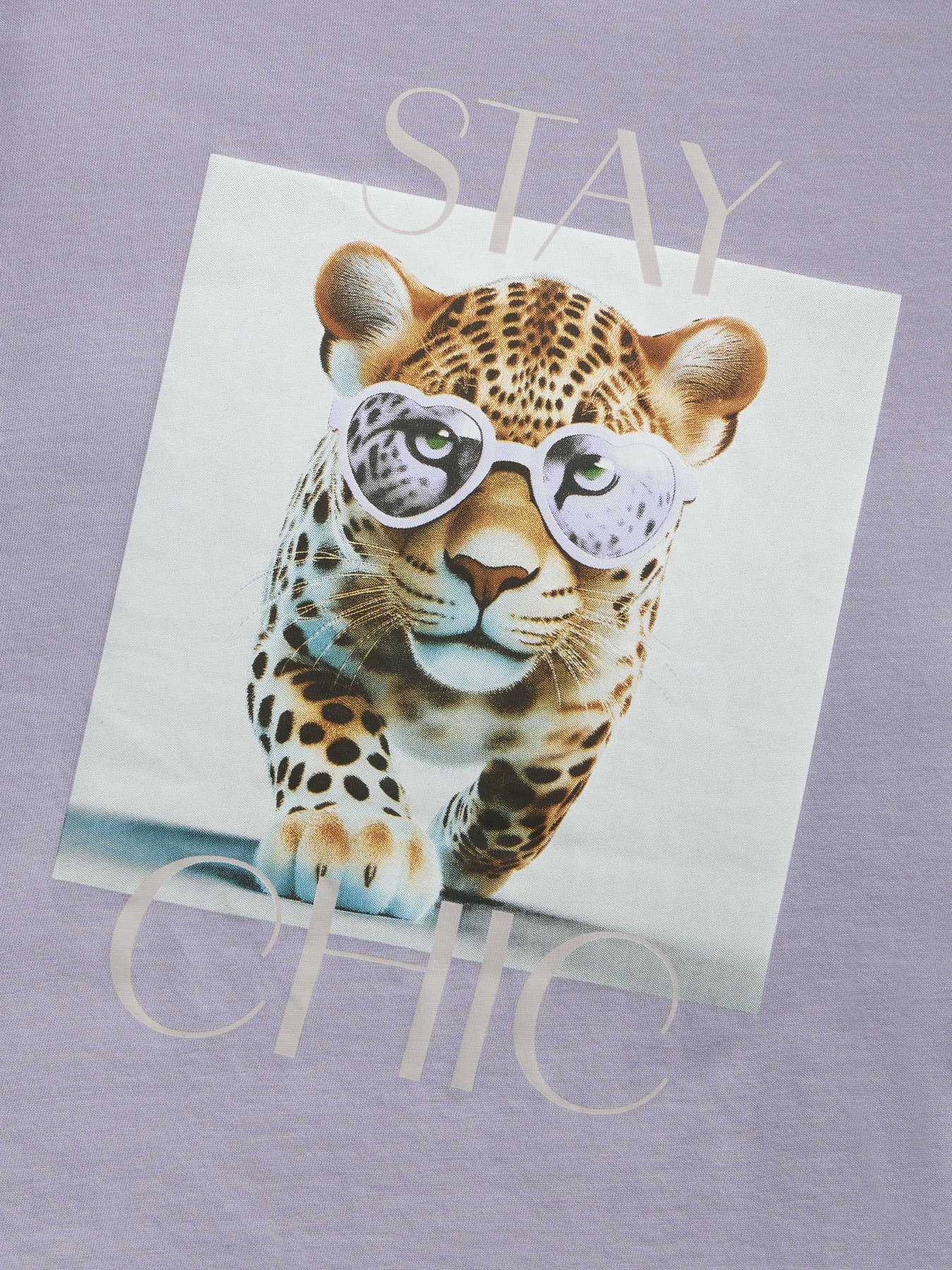 Футболки и поло Name it VOTEA SS NREG TOP модель 13239156_Lavender Gray Stay Chic Фото
