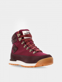 Ботинки и сапоги The North Face Back-To-Berkeley IV Textile Waterproof модель NF0A8179OI51 Фото