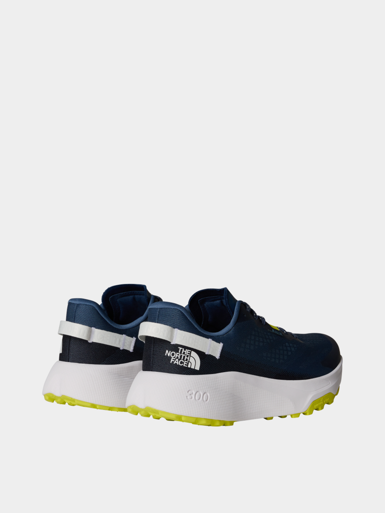 Кросівки The North Face Altamesa 300 Trail Running модель NF0A8A9R9261 Фото