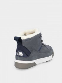 Ботинки и сапоги The North Face Sierra Mid Lace WP модель NF0A4T3X34N1 Фото