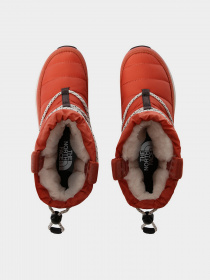 Ботинки и сапоги The North Face ThermoBall™ Lace Up модель NF0A4AZGT971 Фото