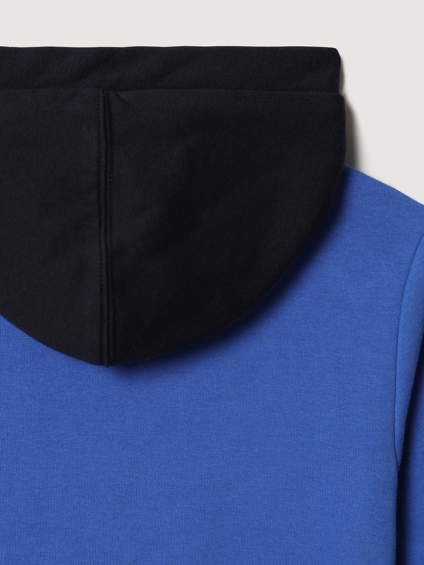 Худи и свитшоты Napapijri Burgee 1 модель NP0A4FW1MAAS Фото